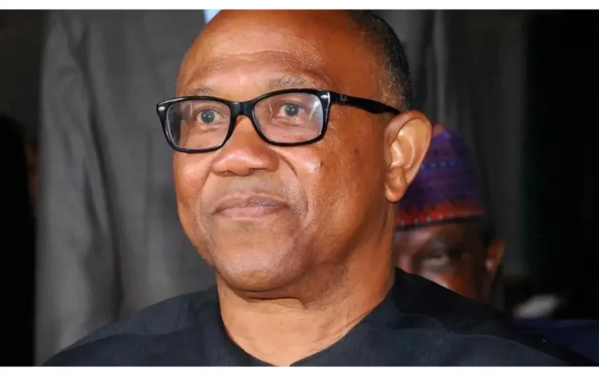 2027: Peter Obi remains best choice to rebuild Nigeria  — PDP chieftain